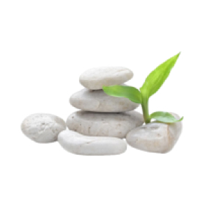 Релакс FM. Программа Сад камней